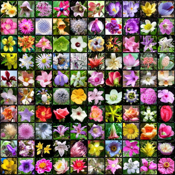think spring