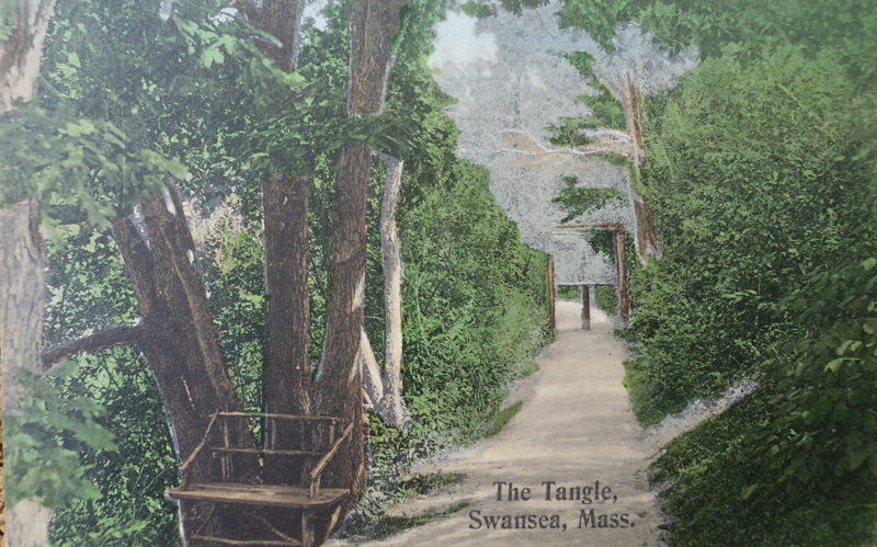 The Tangle