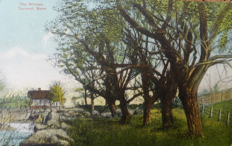 The Willows